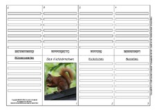 Eichhörnchen-Faltbuch-Steckbrief-achtseitig-2.pdf